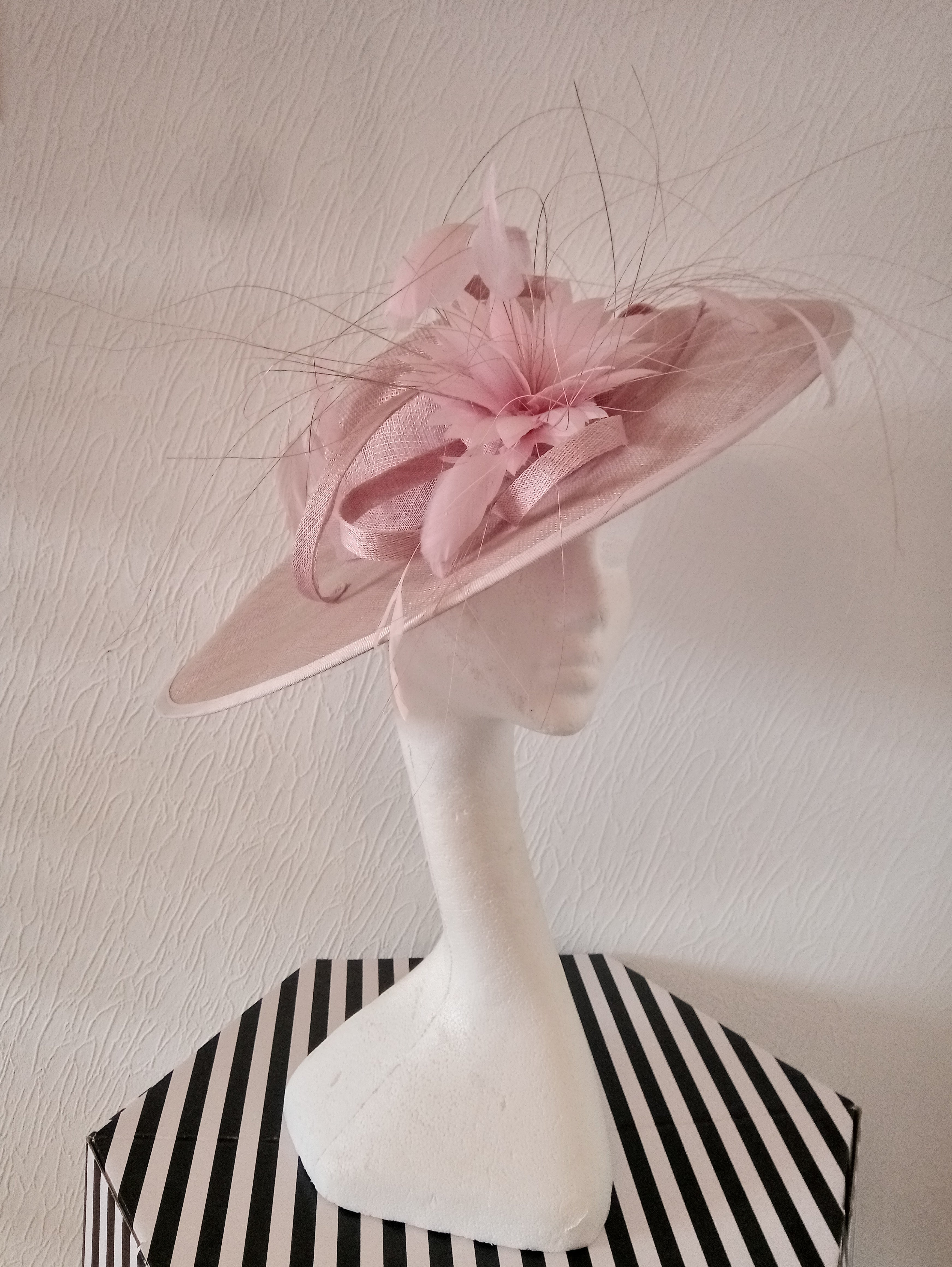 Large Pink Hat/Hatinator